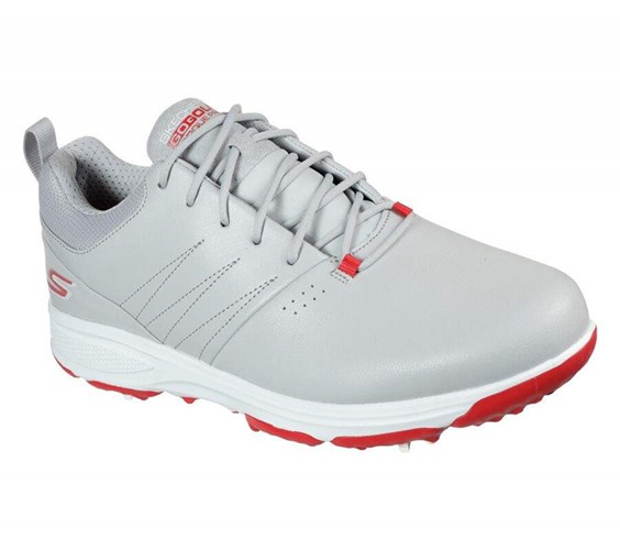 Dámské Golfové Boty Skechers GO GOLF Torque Pro Šedé Červené | WVRUHAX-76