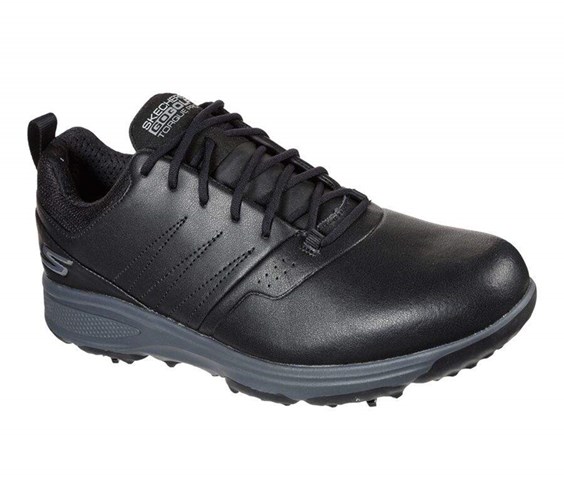 Pánské Golfové Boty Skechers GO GOLF Torque Pro Černé Šedé | FEUGTQR-86