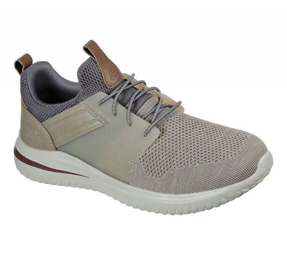 Pánské Mokasíny Skechers Delson 3.0 - Cicada Hnědé | QBCVDIW-59