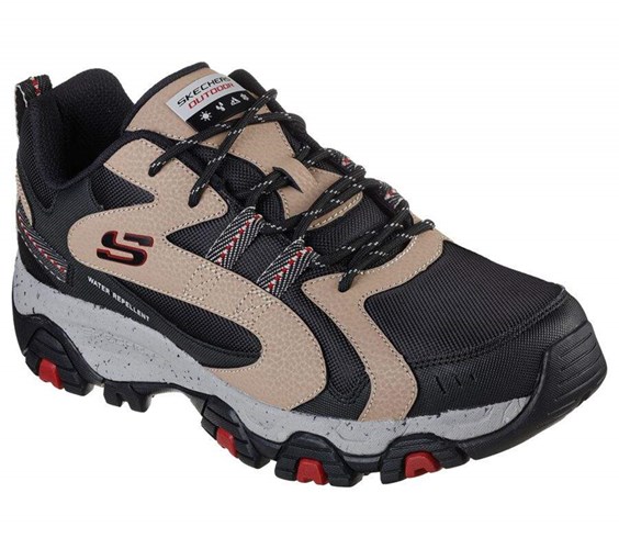 Pánské Tenisky Skechers Terrabite - Trailborn Černé Hnědé | KZVHWMP-23